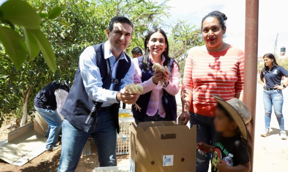 DIF Estatal impulsa economía familiar aves traspatio