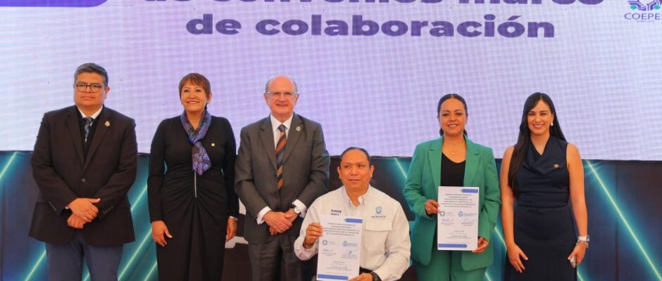 educación superior derechos humanos ambiente